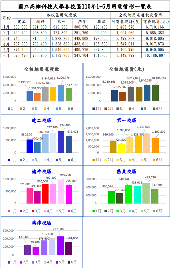 110年1-6月電費使用情形統計